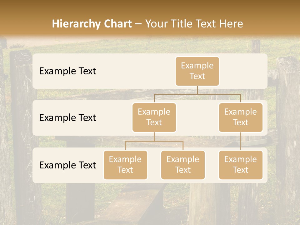 A Wooden Bench Sitting On Top Of A Lush Green Field PowerPoint Template