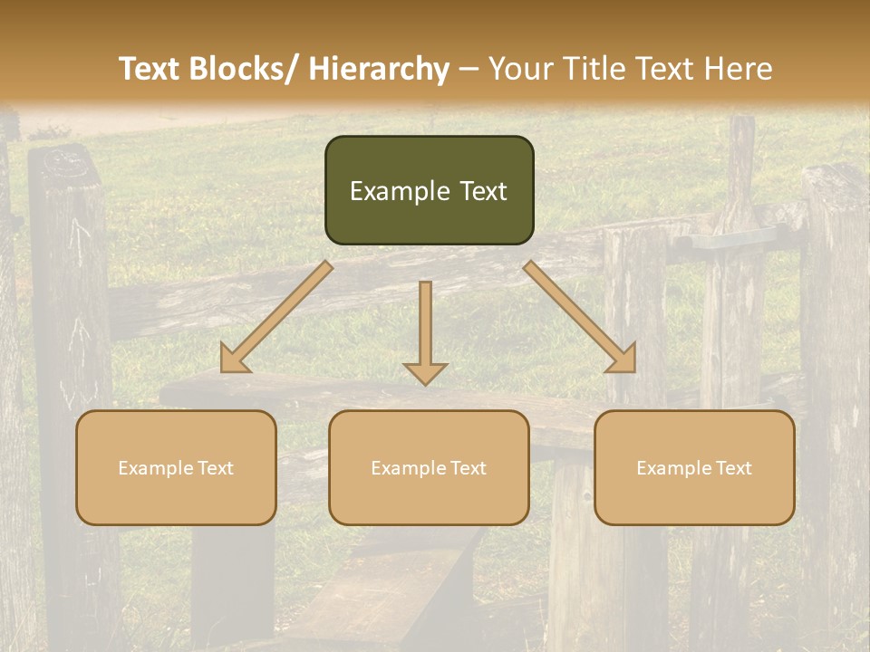 A Wooden Bench Sitting On Top Of A Lush Green Field PowerPoint Template