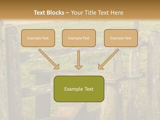 A Wooden Bench Sitting On Top Of A Lush Green Field PowerPoint Template