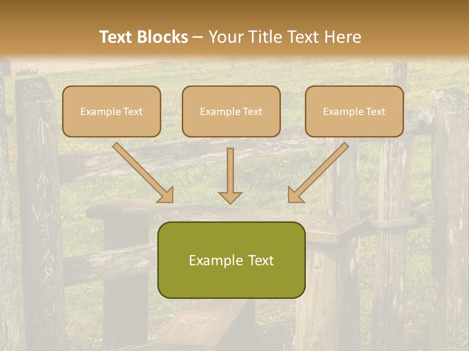 A Wooden Bench Sitting On Top Of A Lush Green Field PowerPoint Template