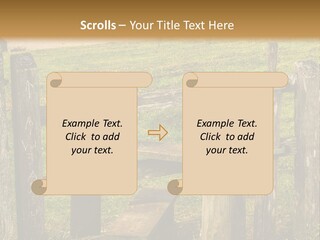 A Wooden Bench Sitting On Top Of A Lush Green Field PowerPoint Template