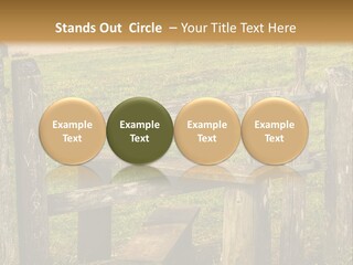 A Wooden Bench Sitting On Top Of A Lush Green Field PowerPoint Template