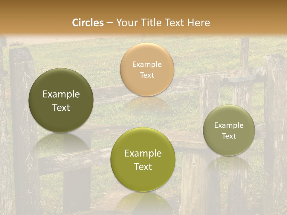 A Wooden Bench Sitting On Top Of A Lush Green Field PowerPoint Template