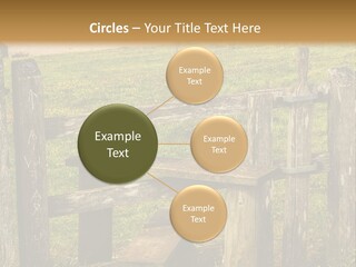 A Wooden Bench Sitting On Top Of A Lush Green Field PowerPoint Template