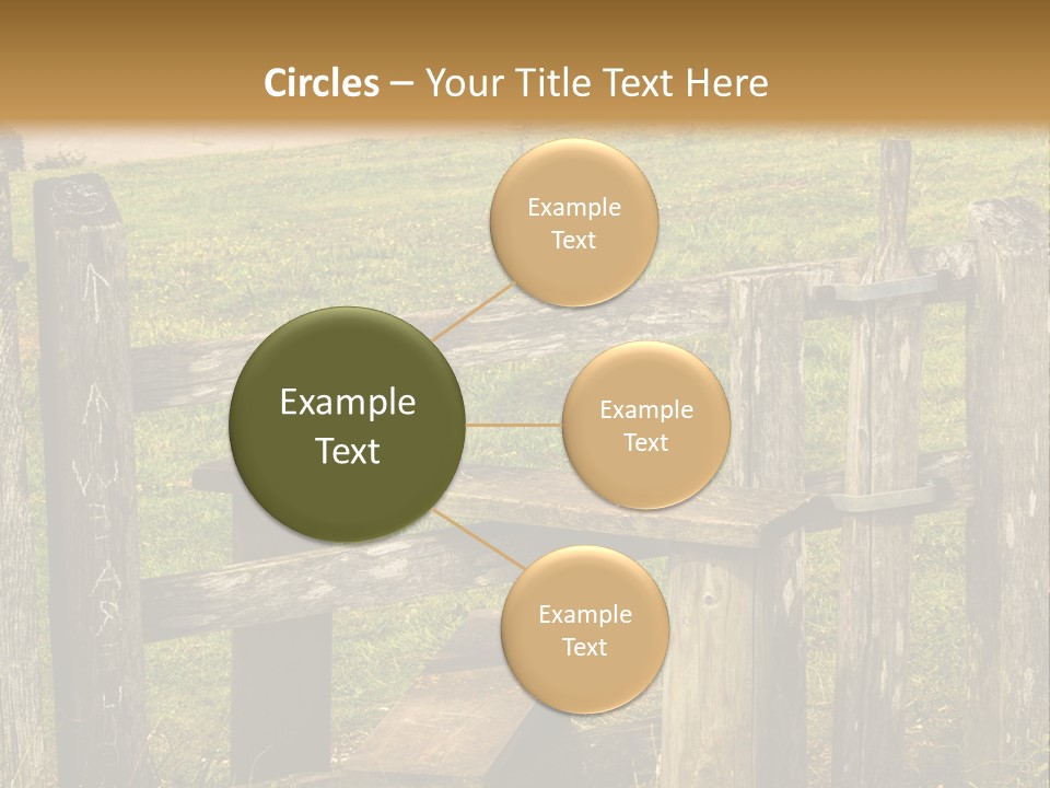 A Wooden Bench Sitting On Top Of A Lush Green Field PowerPoint Template