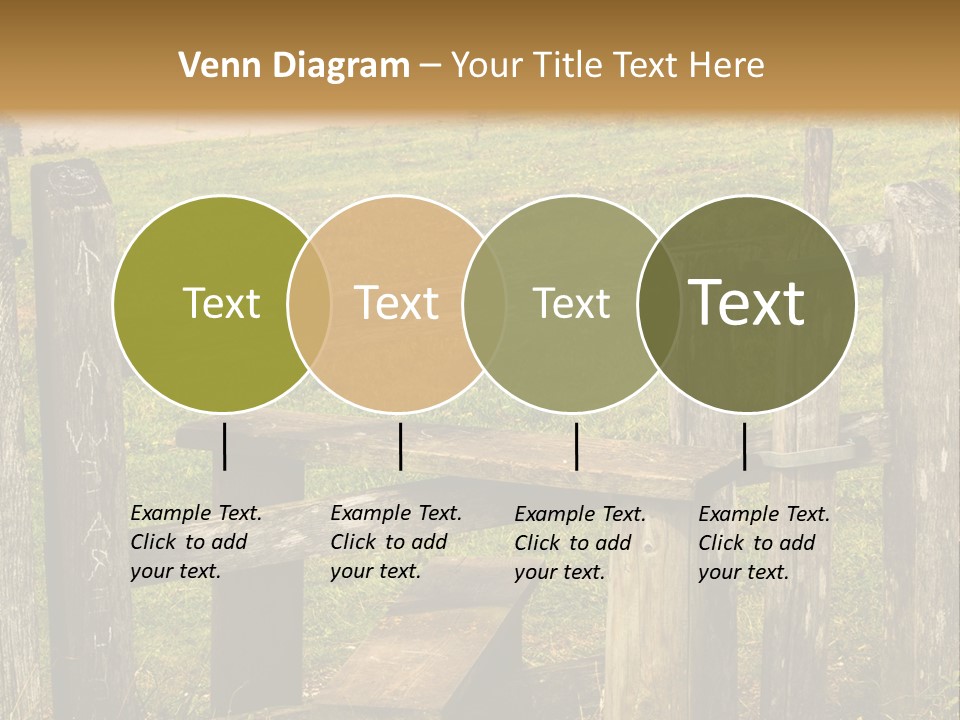 A Wooden Bench Sitting On Top Of A Lush Green Field PowerPoint Template