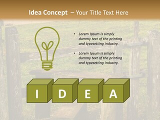 A Wooden Bench Sitting On Top Of A Lush Green Field PowerPoint Template