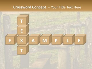 A Wooden Bench Sitting On Top Of A Lush Green Field PowerPoint Template