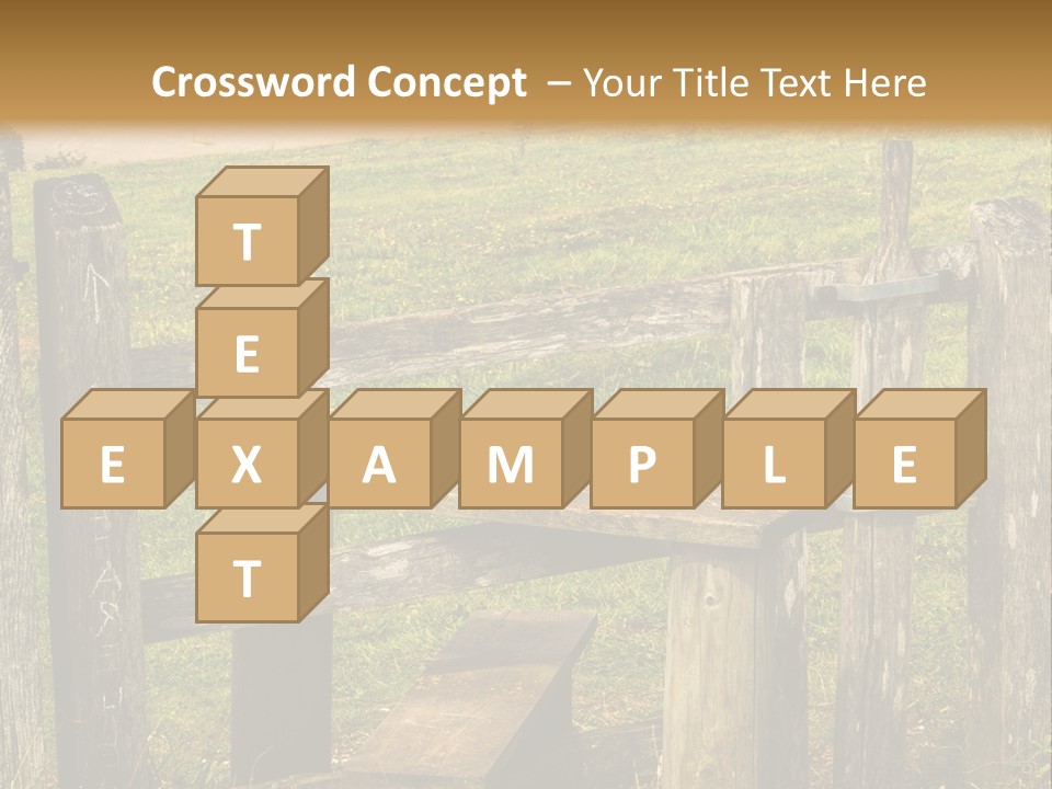 A Wooden Bench Sitting On Top Of A Lush Green Field PowerPoint Template