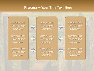 A Wooden Bench Sitting On Top Of A Lush Green Field PowerPoint Template