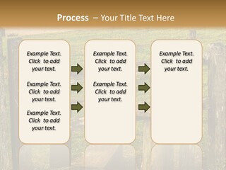 A Wooden Bench Sitting On Top Of A Lush Green Field PowerPoint Template