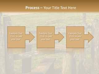 A Wooden Bench Sitting On Top Of A Lush Green Field PowerPoint Template