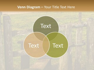 A Wooden Bench Sitting On Top Of A Lush Green Field PowerPoint Template