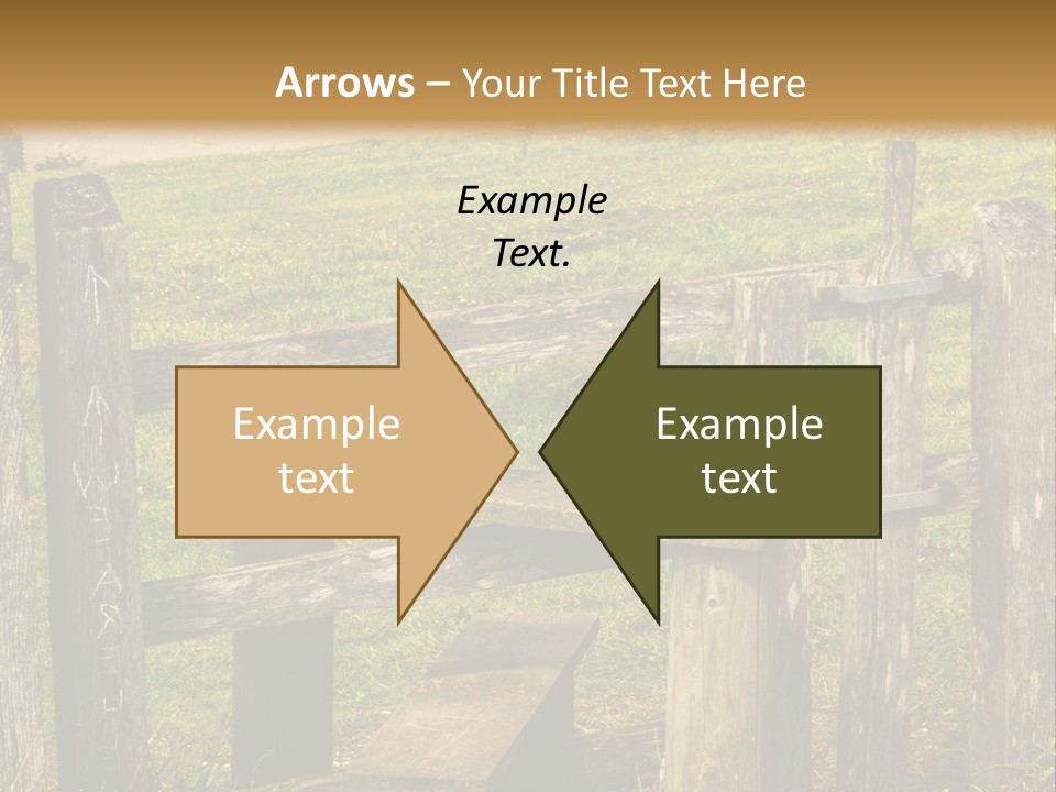 A Wooden Bench Sitting On Top Of A Lush Green Field PowerPoint Template