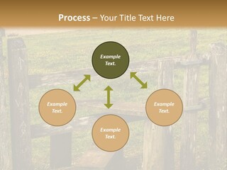 A Wooden Bench Sitting On Top Of A Lush Green Field PowerPoint Template