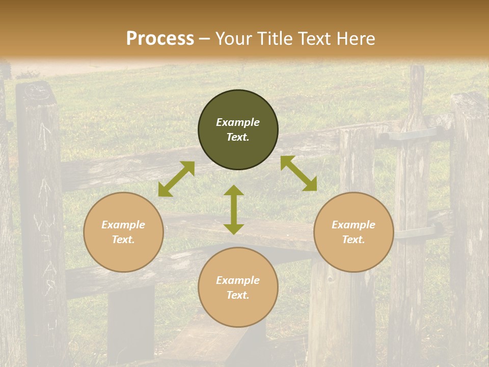 A Wooden Bench Sitting On Top Of A Lush Green Field PowerPoint Template