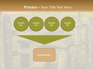 A Wooden Bench Sitting On Top Of A Lush Green Field PowerPoint Template
