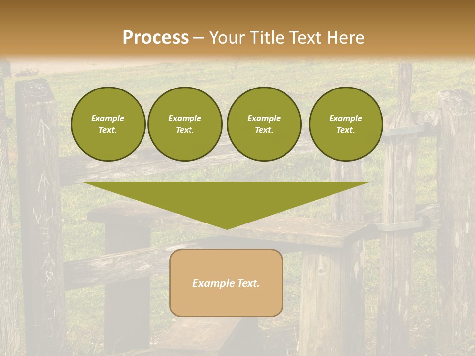 A Wooden Bench Sitting On Top Of A Lush Green Field PowerPoint Template