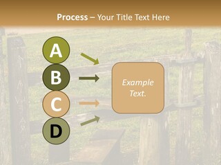 A Wooden Bench Sitting On Top Of A Lush Green Field PowerPoint Template