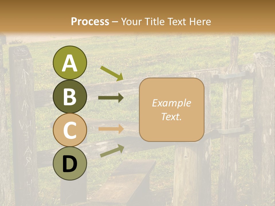 A Wooden Bench Sitting On Top Of A Lush Green Field PowerPoint Template