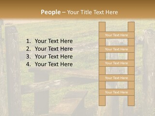 A Wooden Bench Sitting On Top Of A Lush Green Field PowerPoint Template