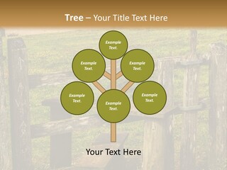 A Wooden Bench Sitting On Top Of A Lush Green Field PowerPoint Template