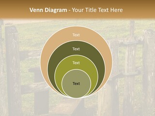 A Wooden Bench Sitting On Top Of A Lush Green Field PowerPoint Template