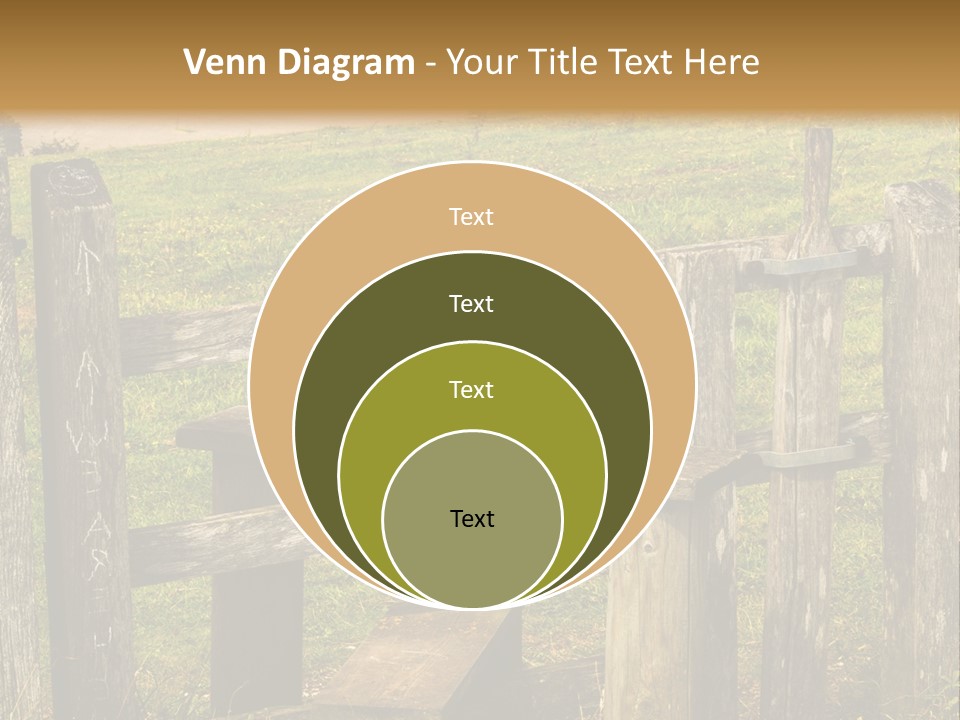 A Wooden Bench Sitting On Top Of A Lush Green Field PowerPoint Template
