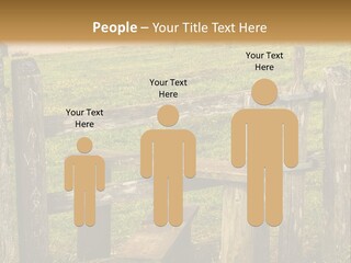 A Wooden Bench Sitting On Top Of A Lush Green Field PowerPoint Template