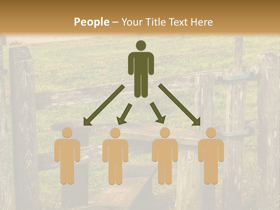 A Wooden Bench Sitting On Top Of A Lush Green Field PowerPoint Template