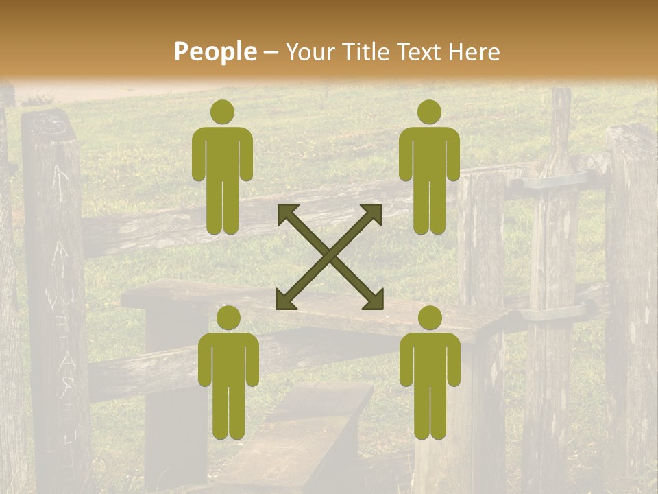 A Wooden Bench Sitting On Top Of A Lush Green Field PowerPoint Template