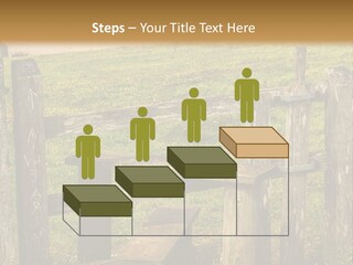 A Wooden Bench Sitting On Top Of A Lush Green Field PowerPoint Template