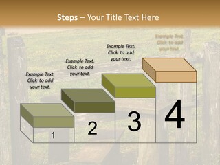 A Wooden Bench Sitting On Top Of A Lush Green Field PowerPoint Template