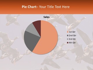 A Flock Of Birds Flying Through A Blue Sky PowerPoint Template