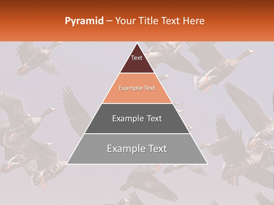 A Flock Of Birds Flying Through A Blue Sky PowerPoint Template