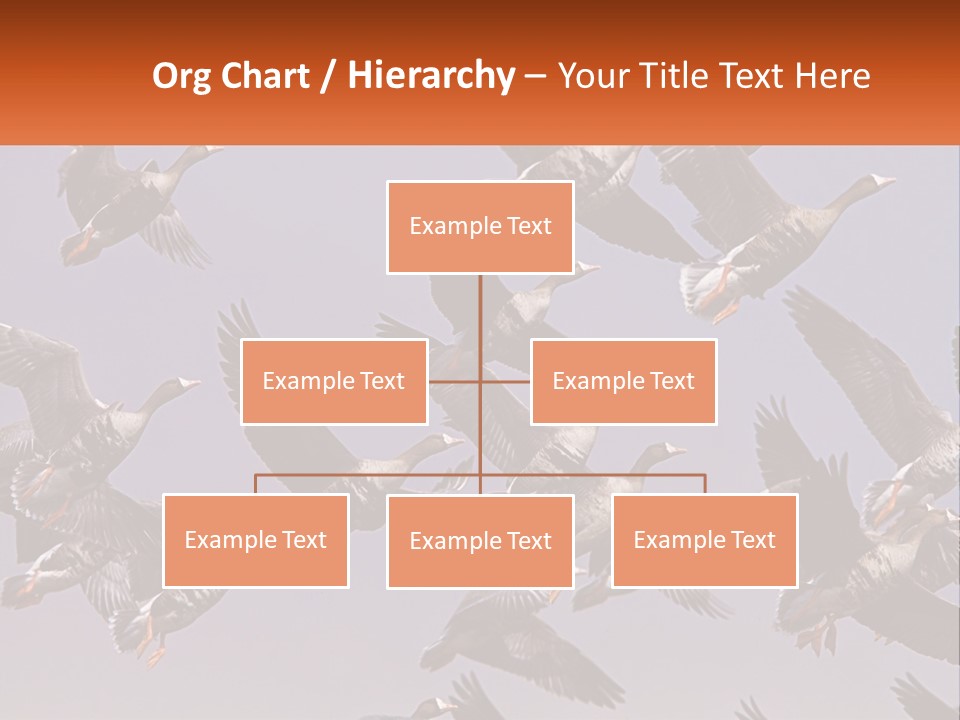 A Flock Of Birds Flying Through A Blue Sky PowerPoint Template