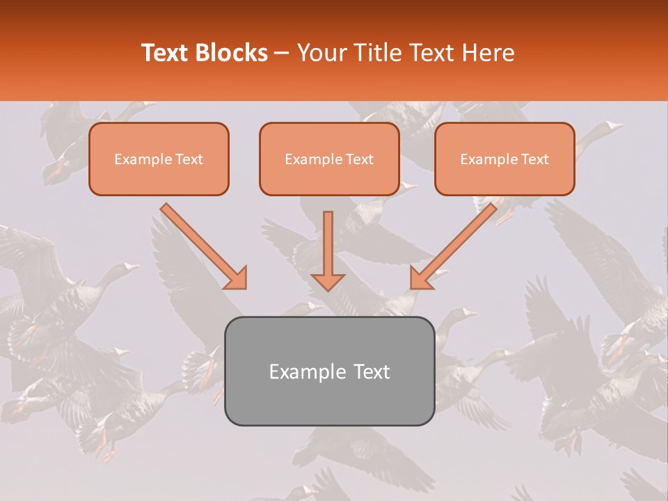 A Flock Of Birds Flying Through A Blue Sky PowerPoint Template