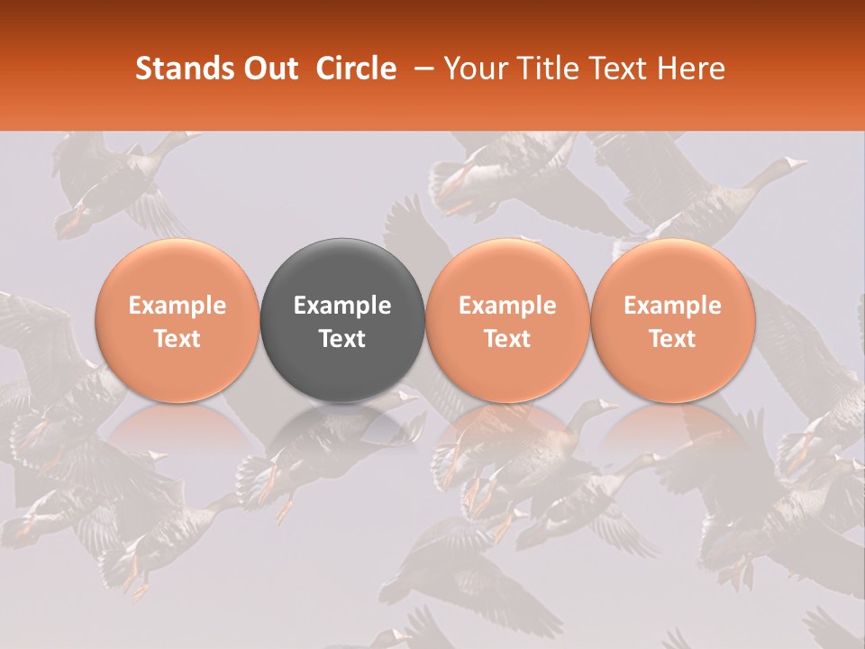 A Flock Of Birds Flying Through A Blue Sky PowerPoint Template