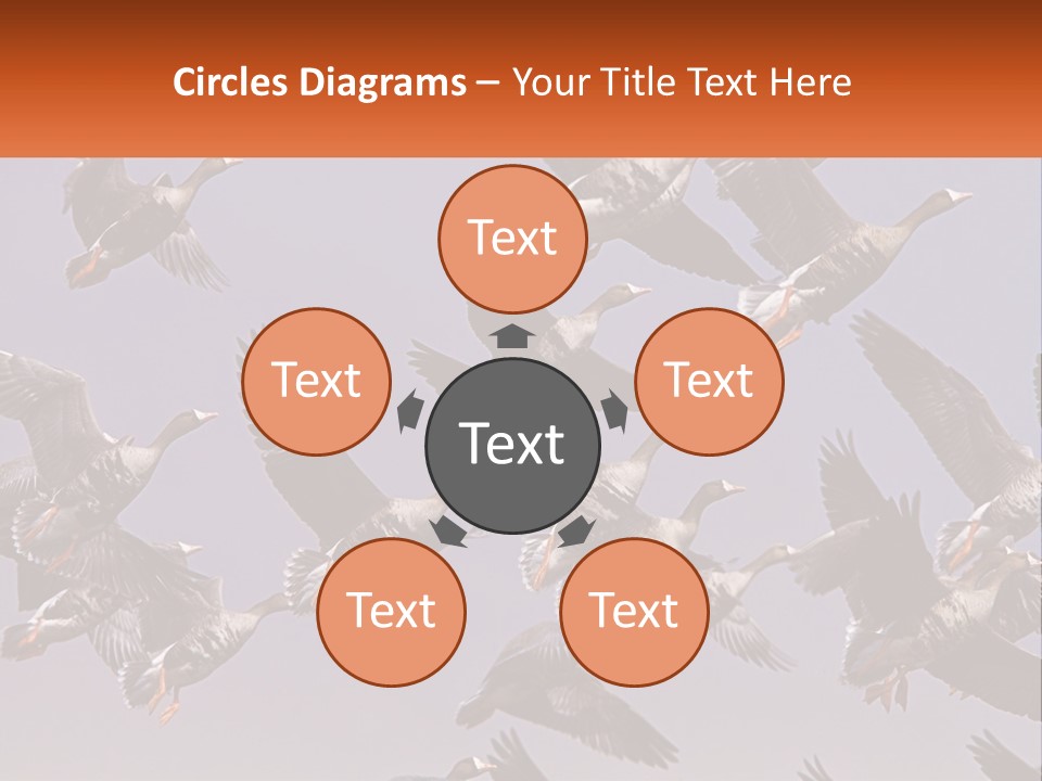 A Flock Of Birds Flying Through A Blue Sky PowerPoint Template