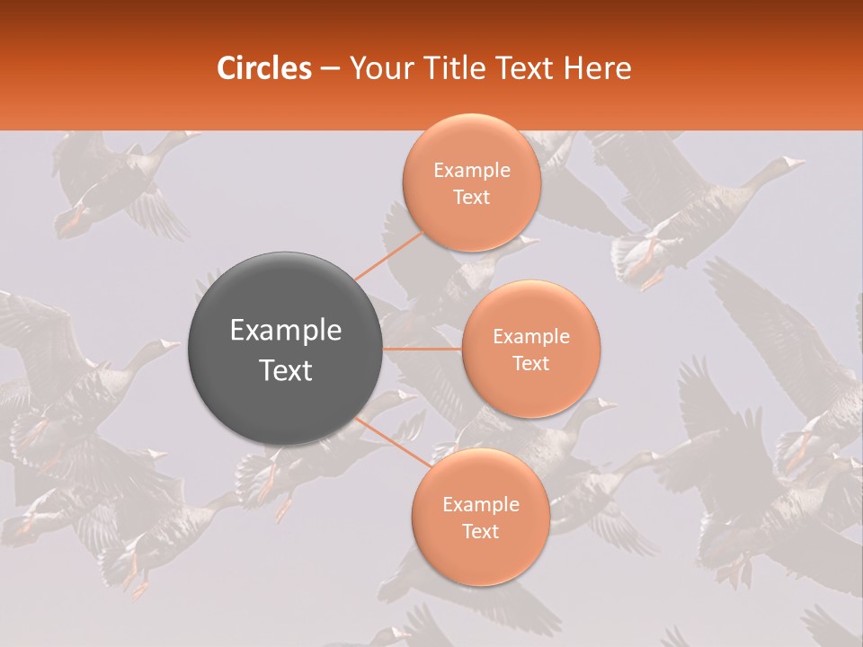 A Flock Of Birds Flying Through A Blue Sky PowerPoint Template