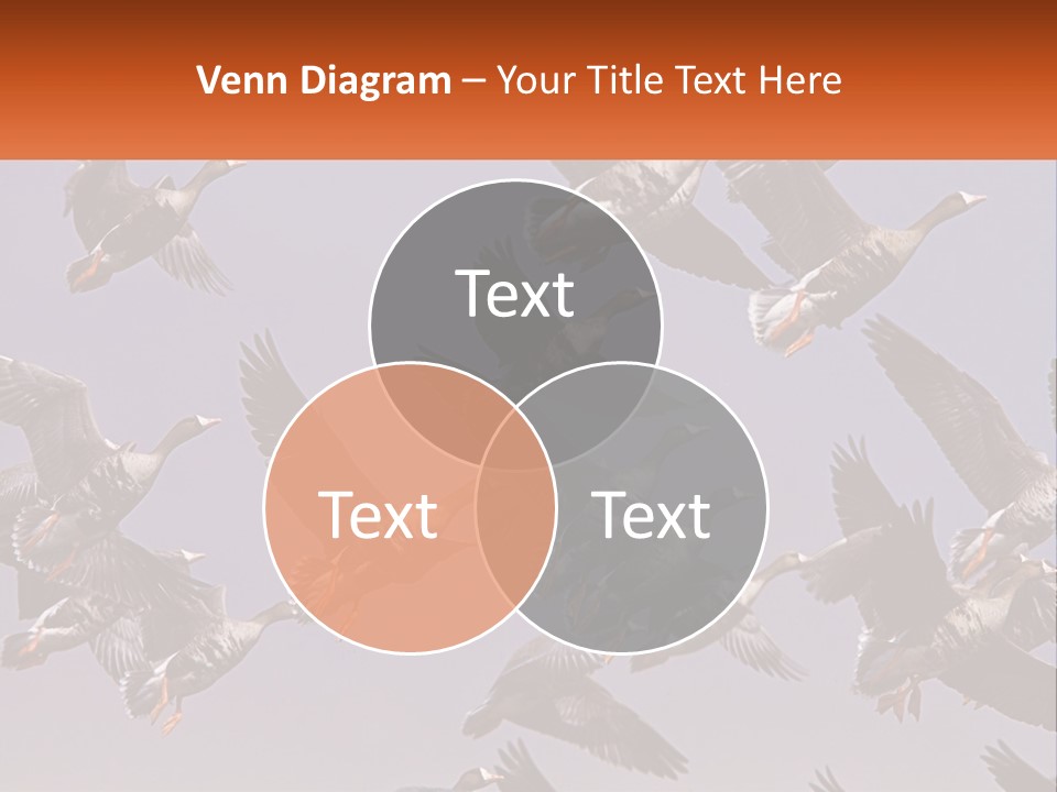 A Flock Of Birds Flying Through A Blue Sky PowerPoint Template