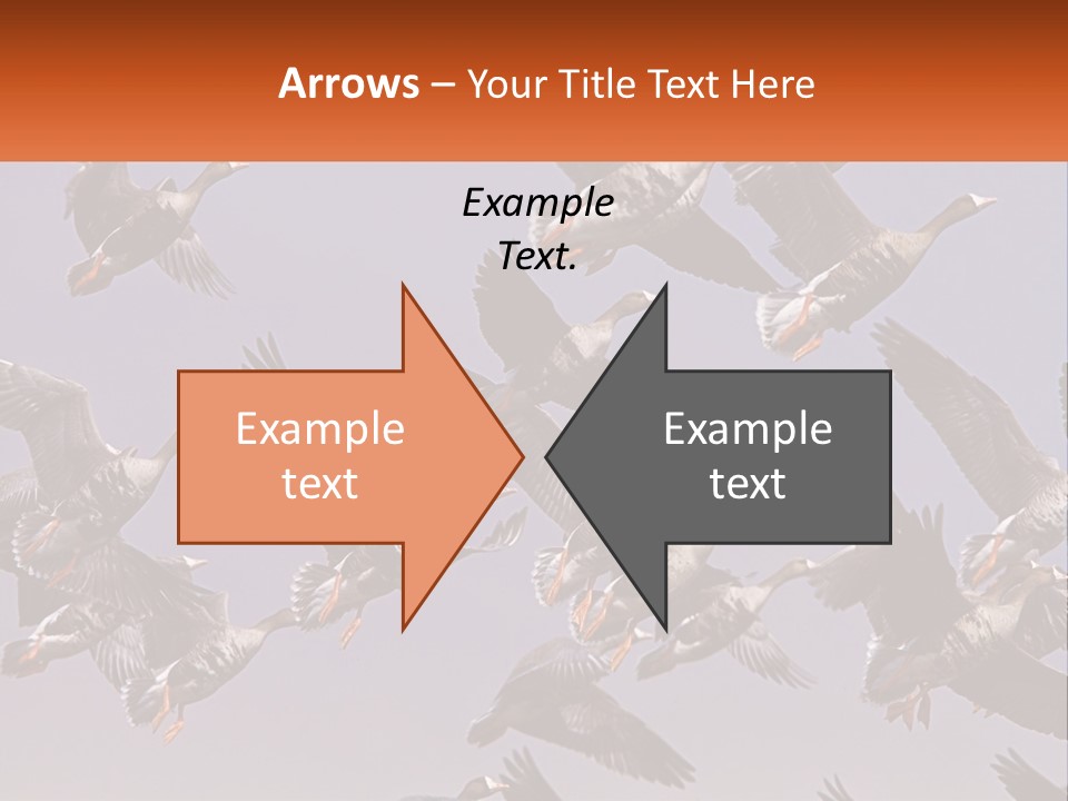 A Flock Of Birds Flying Through A Blue Sky PowerPoint Template