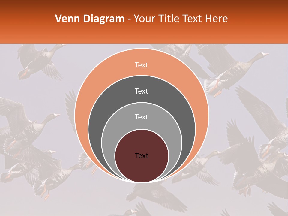 A Flock Of Birds Flying Through A Blue Sky PowerPoint Template