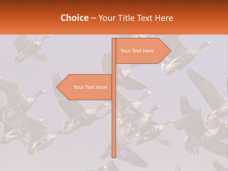 A Flock Of Birds Flying Through A Blue Sky PowerPoint Template