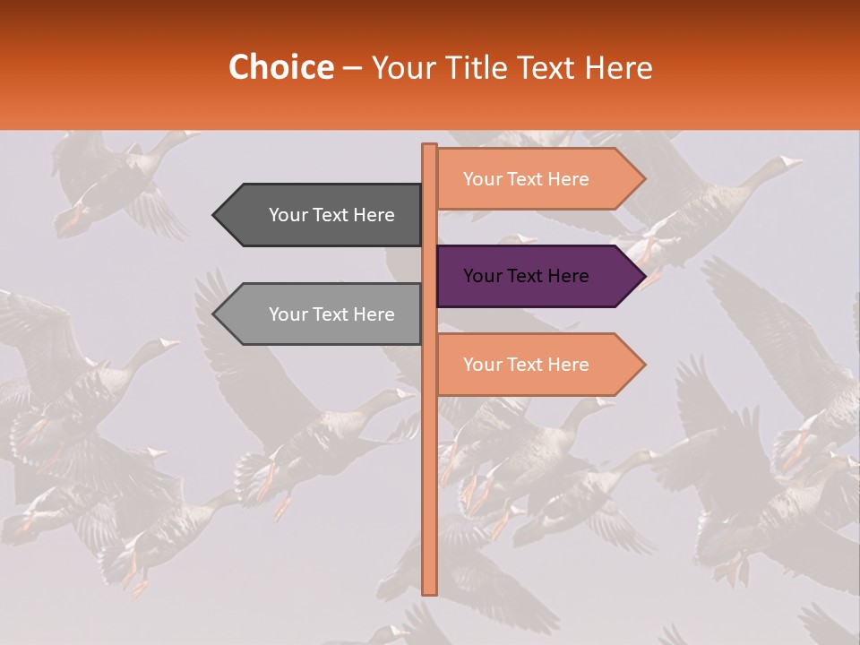 A Flock Of Birds Flying Through A Blue Sky PowerPoint Template