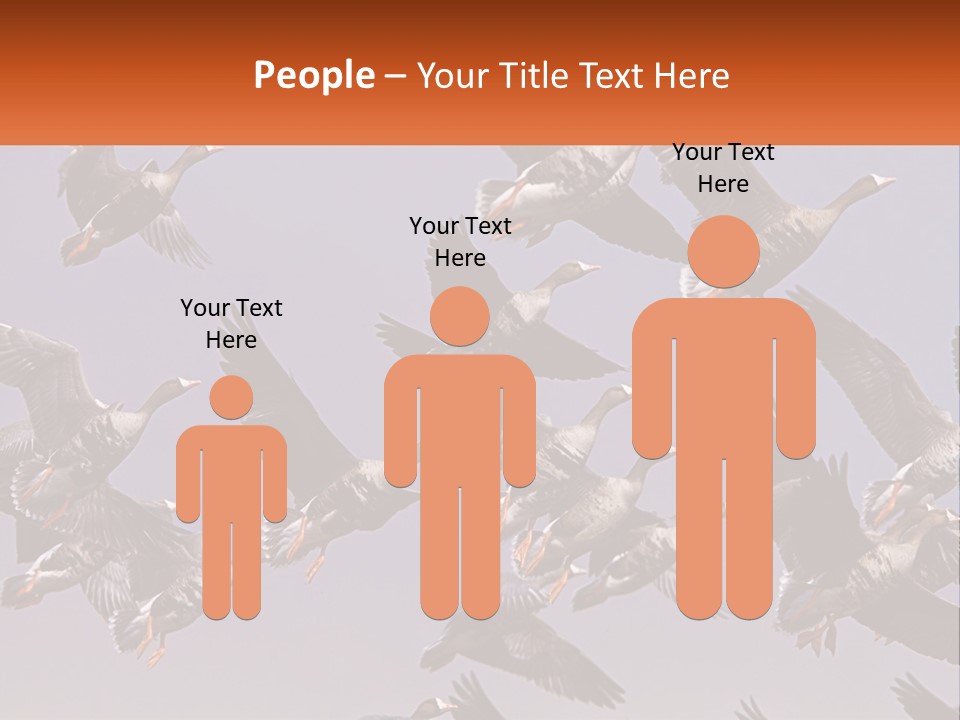 A Flock Of Birds Flying Through A Blue Sky PowerPoint Template