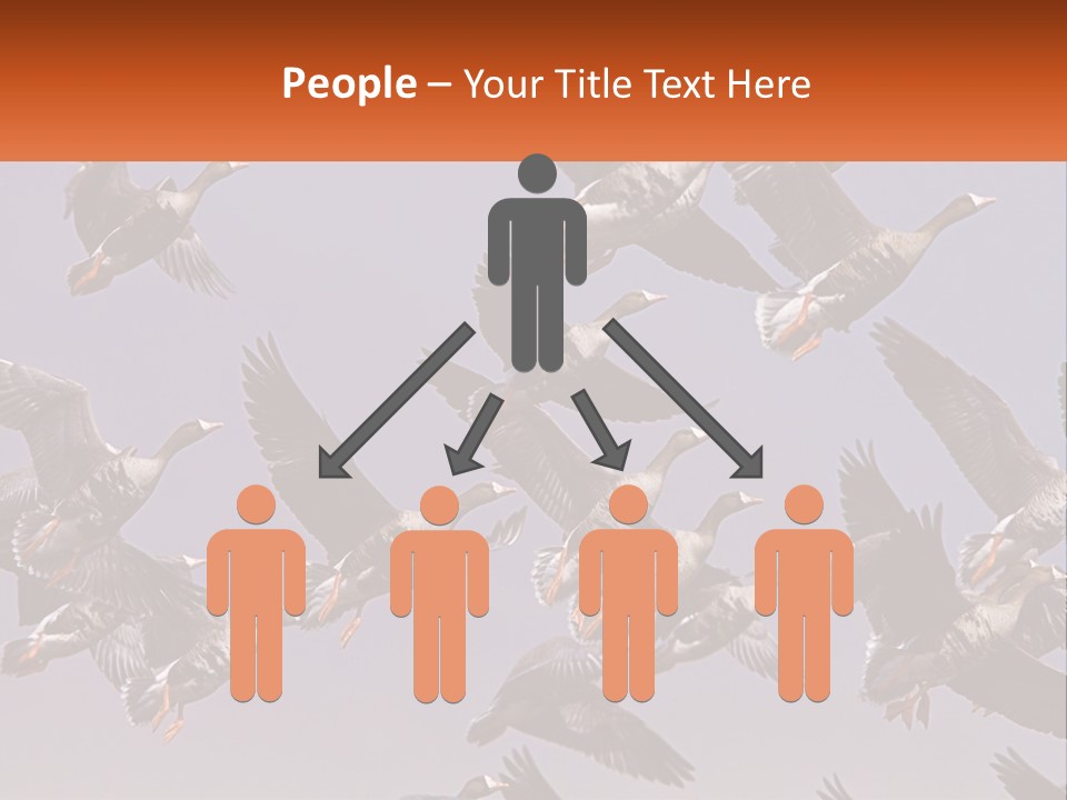 A Flock Of Birds Flying Through A Blue Sky PowerPoint Template