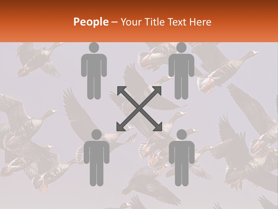 A Flock Of Birds Flying Through A Blue Sky PowerPoint Template