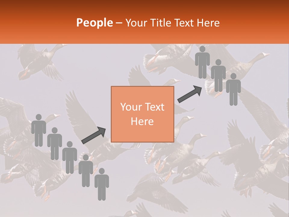 A Flock Of Birds Flying Through A Blue Sky PowerPoint Template
