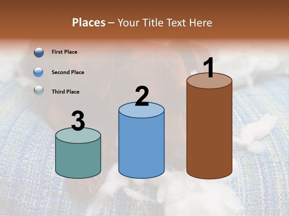 A Brown Dog Laying On Top Of A Pile Of Cotton PowerPoint Template